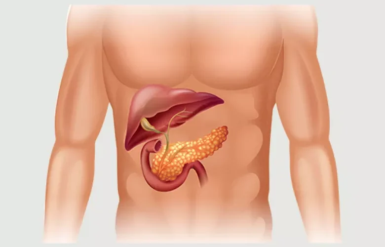علامات تحذيرية دالة على وجود ضعف وظيفي في البنكرياس علامات تحذيرية دالة على وجود ضعف وظيفي في البنكرياس