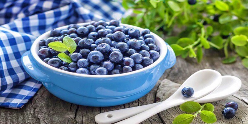 فوائد العنب البري على صحة الجسم عامة