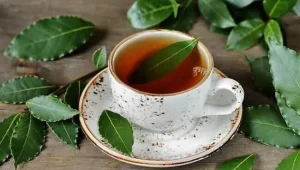 فوائد منقوع ورق الغار على الريق