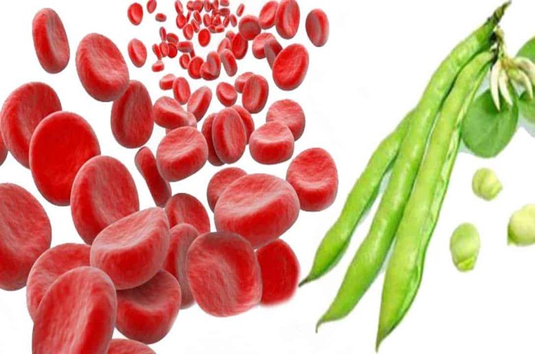 أنيميا الفول