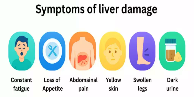 أهم العلامات التحذيرية الدالة على المعاناة من مشاكل الكبد