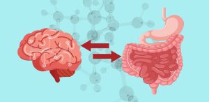 الأسباب الشائعة للمعاناة من المعدة العصبية