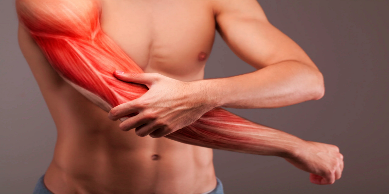 التقلصات والتشنجات العضلية