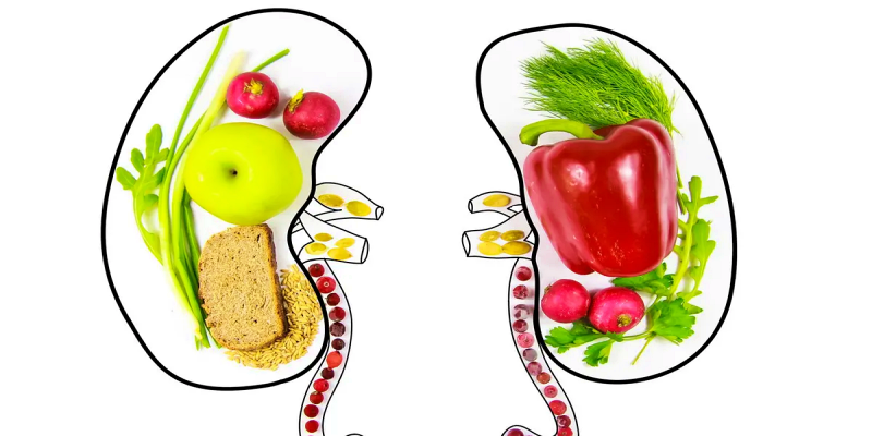 تناول الأطعمة الصحية للكلى في الروتين الصباحي