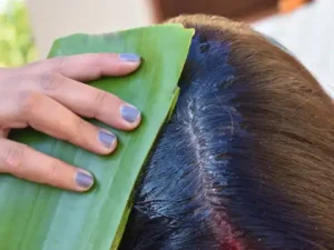 دعم صحة فروة الرأس