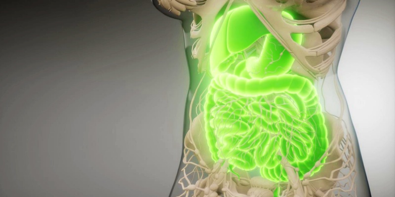 دعم عملية الهضم وصحة الأمعاء