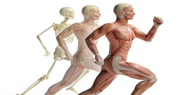 زيادة قوة النظام الهيكلي