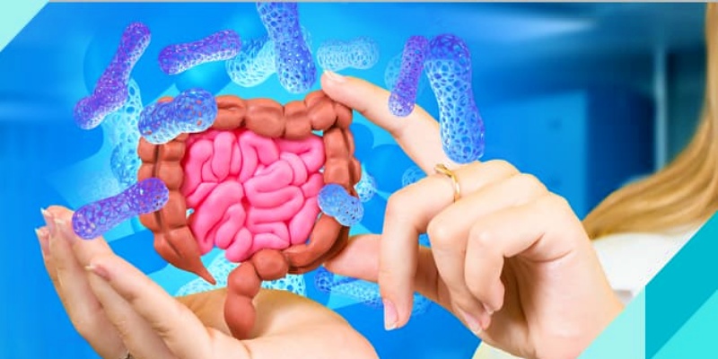 ضعف الفلورا المعوية و تساقط الشعر