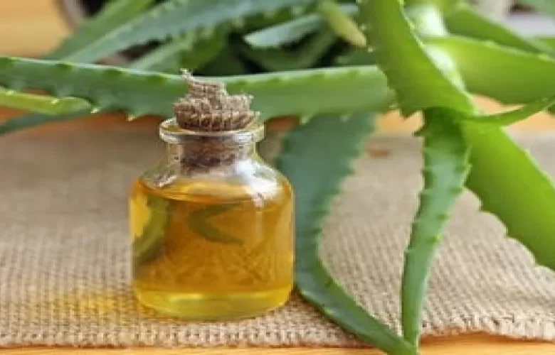 فوائد جل الصبار وزيت جنين القمح للبشرة