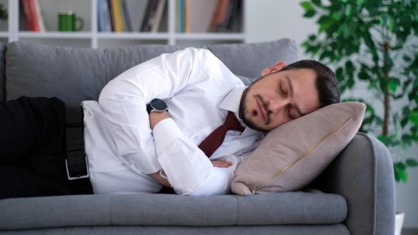 قيلولة القطة