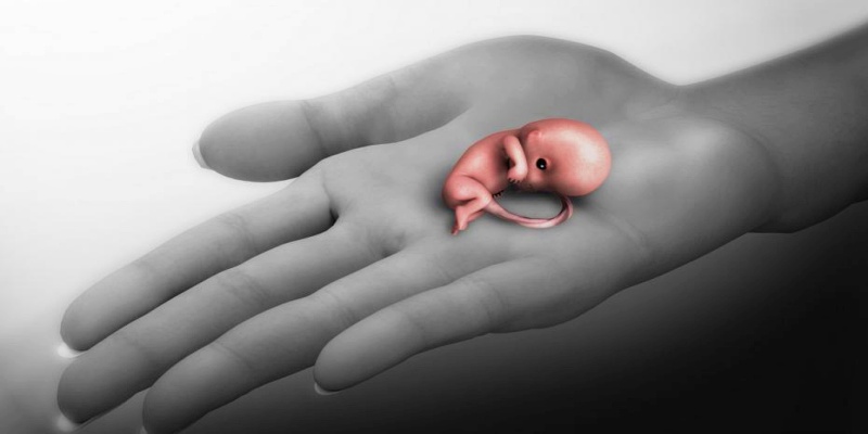 ما المقصود بالإجهاض؟