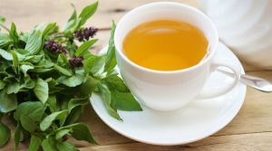 ما هي توصيات السلامة عند تناول عشبة الريحان؟