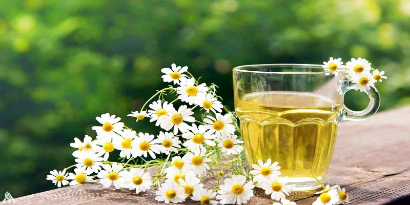 ما هي كمية شاي البابونج الآمنة للتناول؟