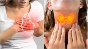 هل تؤدي اضطرابات الغدة الدرقية إلى مشكلات قلبية؟