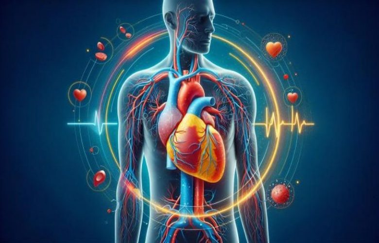 4 طرق لتحسين الدورة الدموية وتعزيز صحة الأوعية