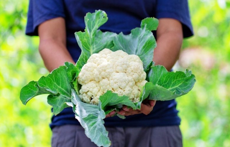 7 فوائد صحية للقرنبيط أشهر الخضروات الشتوية