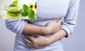 احتياطات تناول النعناع لمرضى الإرتجاع