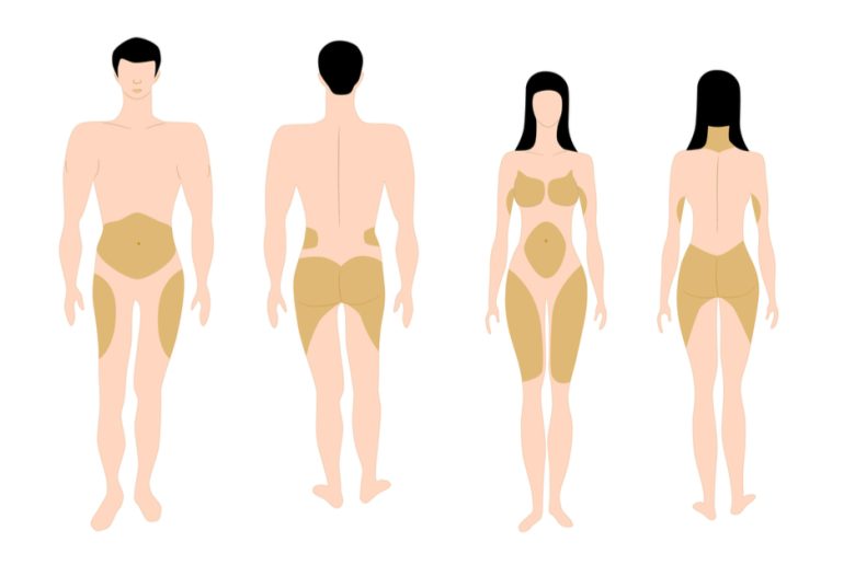 اختلاف نسبة الدهون في الجسم بين الرجال والنساء