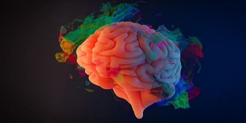 التأثير على الدماغ