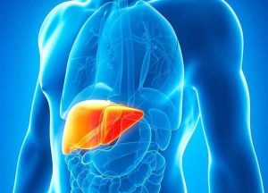 التخلص من سموم الكبد