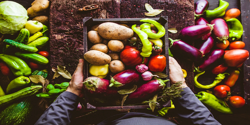 التنوع والتوازن