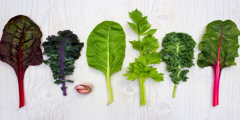 الخضروات الورقية الخضراء