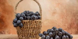العنب الأسود