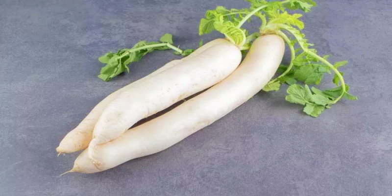 الفجل الأبيض