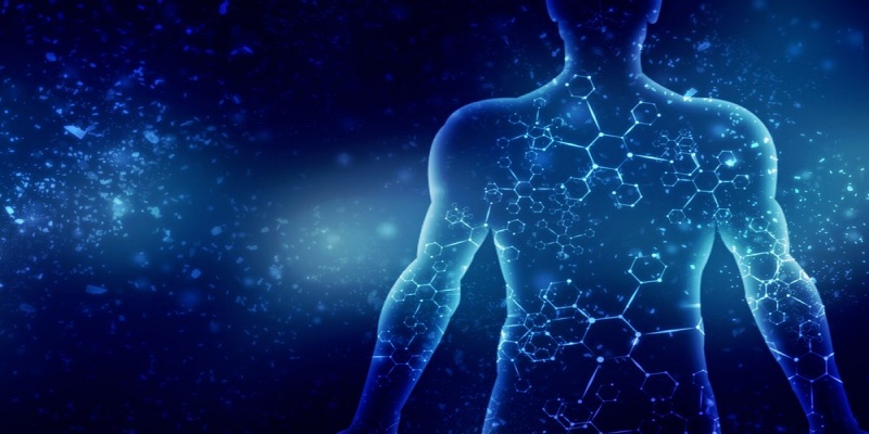 حماية خلايا الجسم من التلف