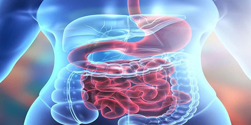 دعم الهضم الصحي