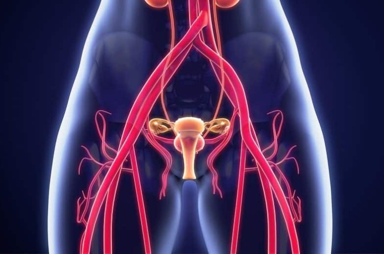 دوالي الرحم