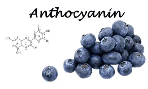 فوائد الأطعمة البنفسجية