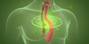 لماذا يتسبب تناول شاي النعناع ليلا في تفاقم ارتجاع المرىء ؟