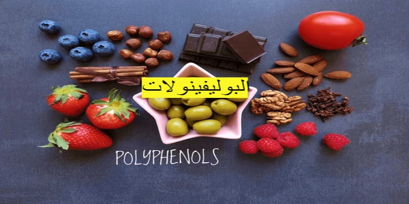 مشروبات وأطعمة التانينات/البوليفينولات