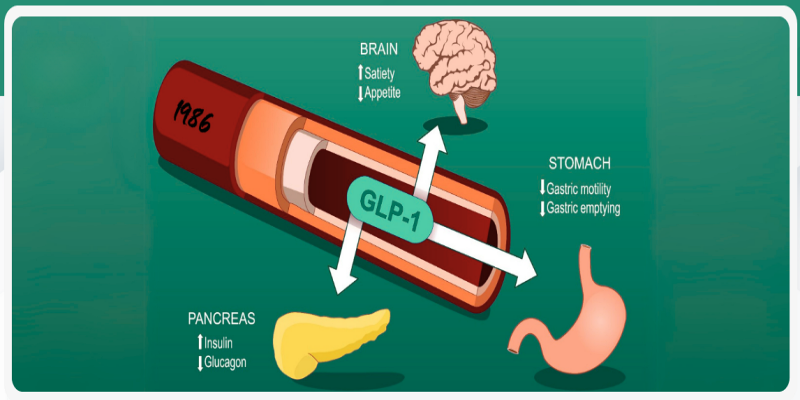 أدوية مستقبلات GLP-1