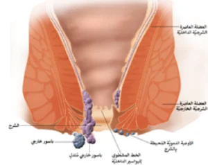 أنواع صمامات المعدة