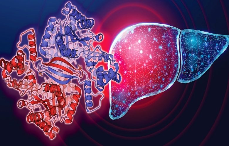 أهم الطرق الفعالة المعنية بخفض إنزيمات الكبد المرتفعة