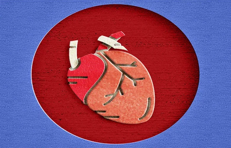 ارتجاع صمام القلب: الأعراض وطرق العلاج