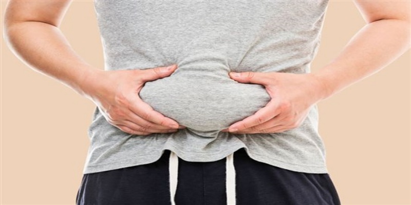 الدهون الحشوية