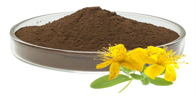 المكملات العشبية