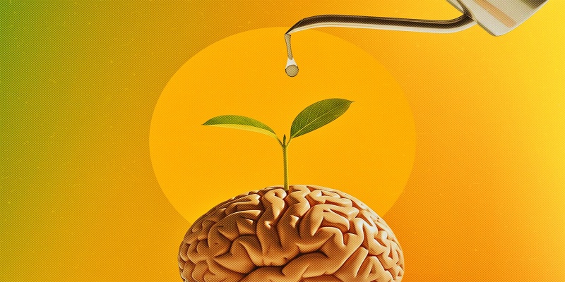 تعزيز يقظة الدماغ وقوة التركيز