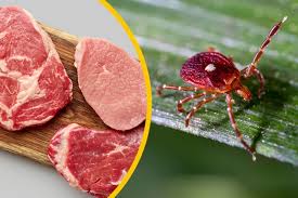 حساسية اللحوم