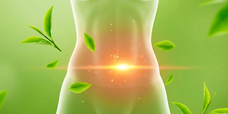 دعم آلية فقدان الوزن وتعزيز الأيض