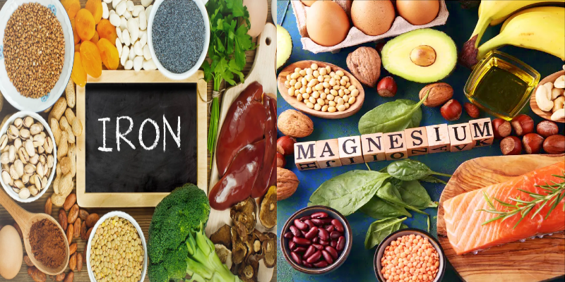دور الحديد والمغنيسيوم في داخل الجسم