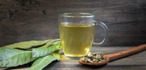 طرق تناول شاي أوراق السدر