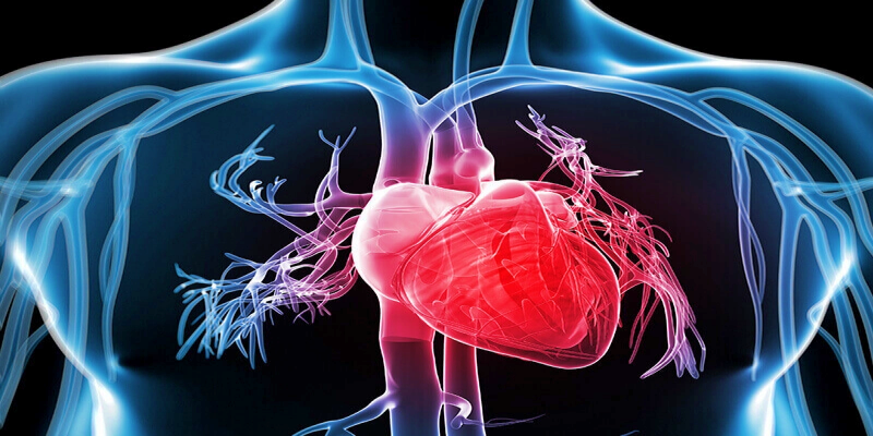 ما المقصود بارتجاع صمام القلب؟