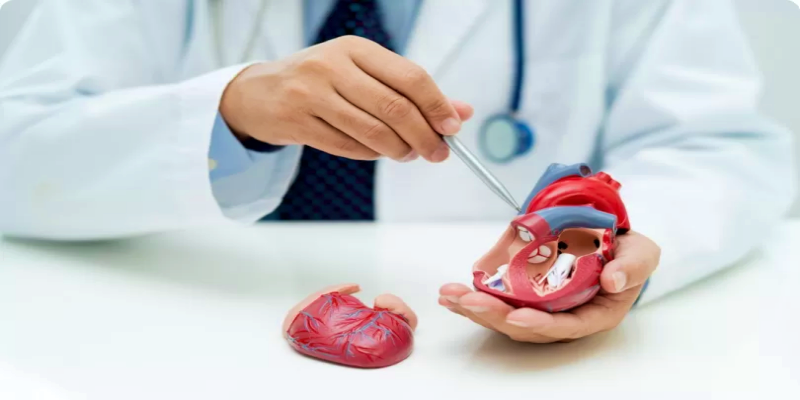 ما هي أنماط علاج ارتجاع صمام القلب؟