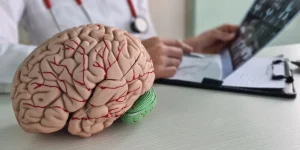 ماذا يعني التعافي من سكتة الدماغ ؟