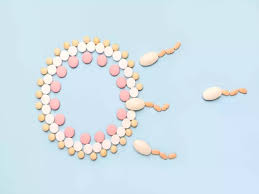 ماهي منشطات الحمل ؟