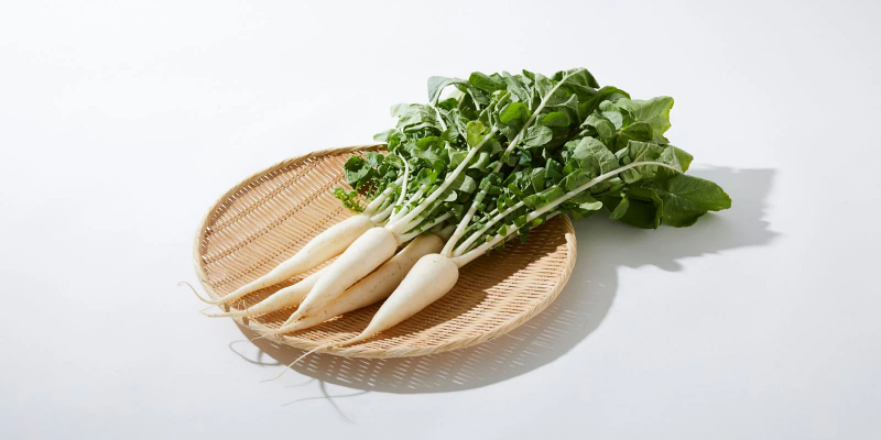 ملاحظات يجب مراعاتها قبل تناول أوراق الفجل الأبيض